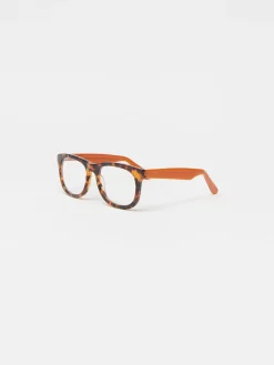 Barlett Readers in Tortoise