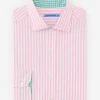 Club Classic Fit Shirt in Bengal Stripe