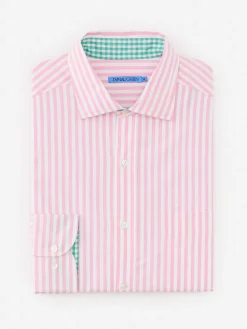Club Classic Fit Shirt in Bengal Stripe
