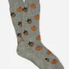 Socks in Acorn